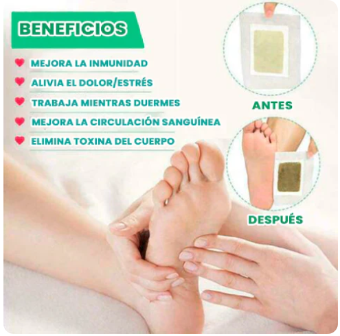 Parches Kinokis para pie Detox Natural mientras duermes 🌿