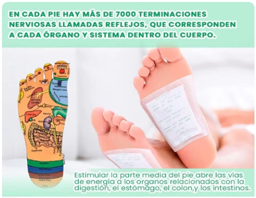 Parches Kinokis para pie Detox Natural mientras duermes 🌿